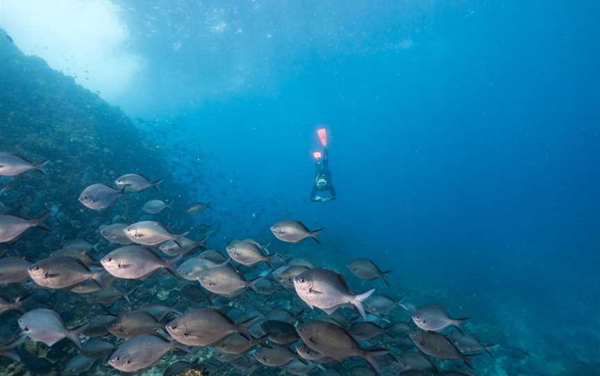 Byron Bay Dive Centre, Byron Bay, NSW