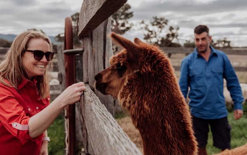 Wallinga Farm Tour - Mudgee, Spring Flat, NSW