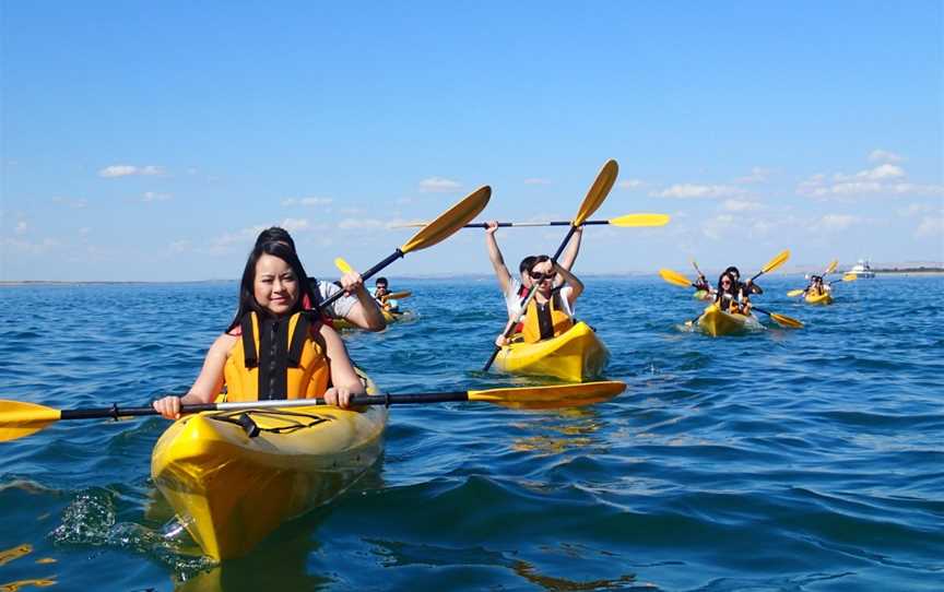 Pioneer Kayaking, Newhaven, VIC