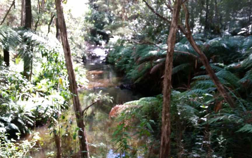 Gippsland Fly Fishing, Yarragon, VIC