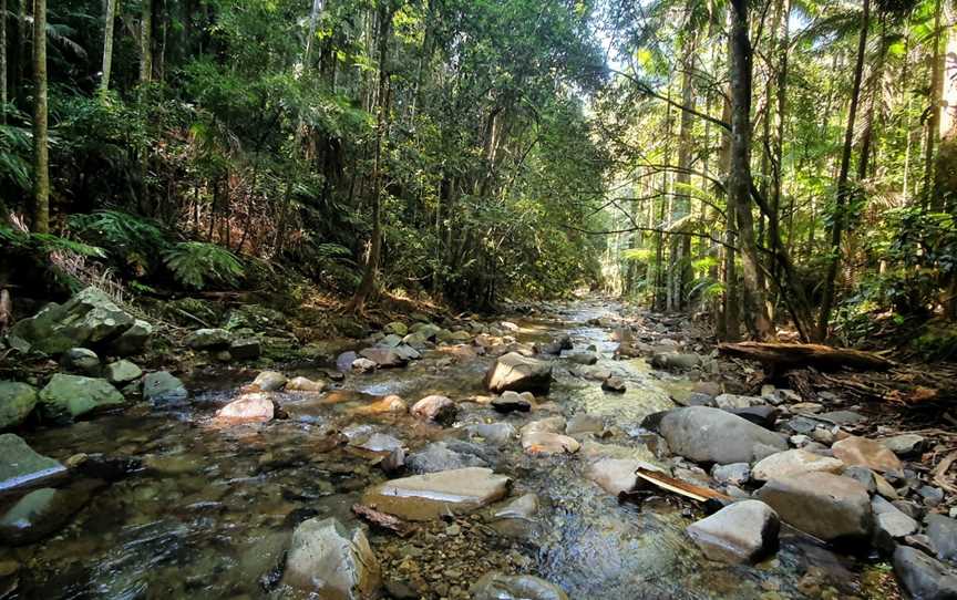 Heartwood Nature Bathing, Annerley, QLD