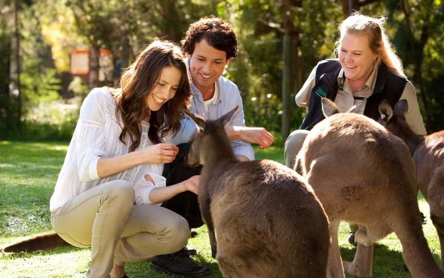 Vinetrekker Wine & Food Tours, South Melbourne, VIC