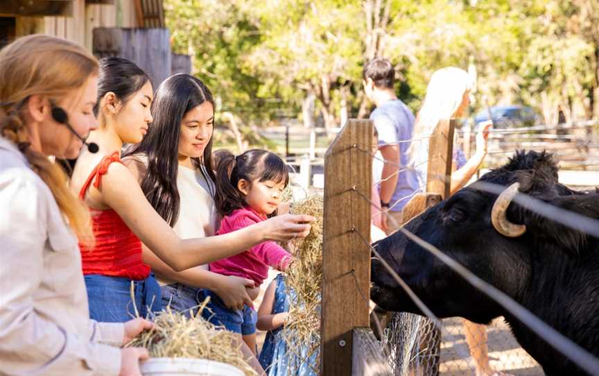 Animal Encounters at Ipswich Nature Centre, Ipswich, QLD