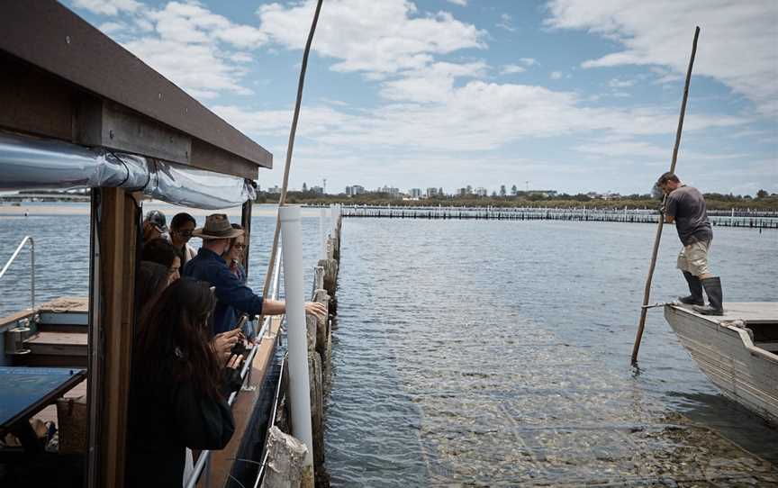 Farm to Plate Oyster Tours, Tuncurry, NSW