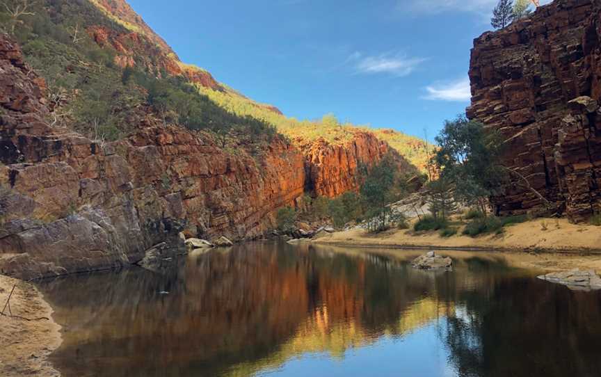 Art Tours of Australia, Larapinta, NT