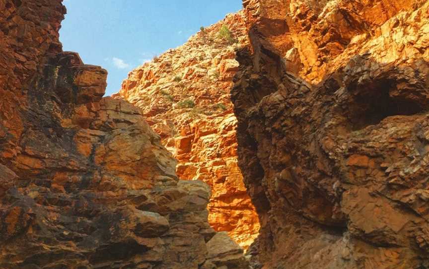 Art Tours of Australia, Larapinta, NT