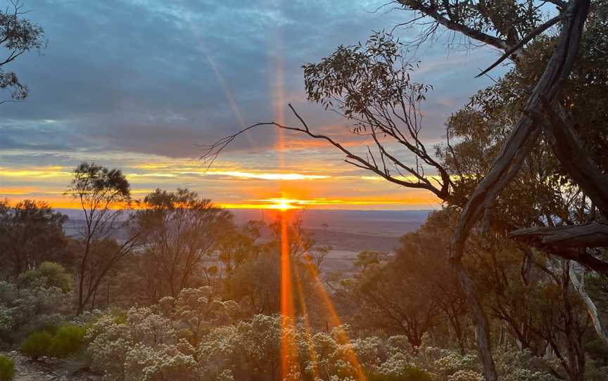 Quorn Walking Tours, Quorn, SA