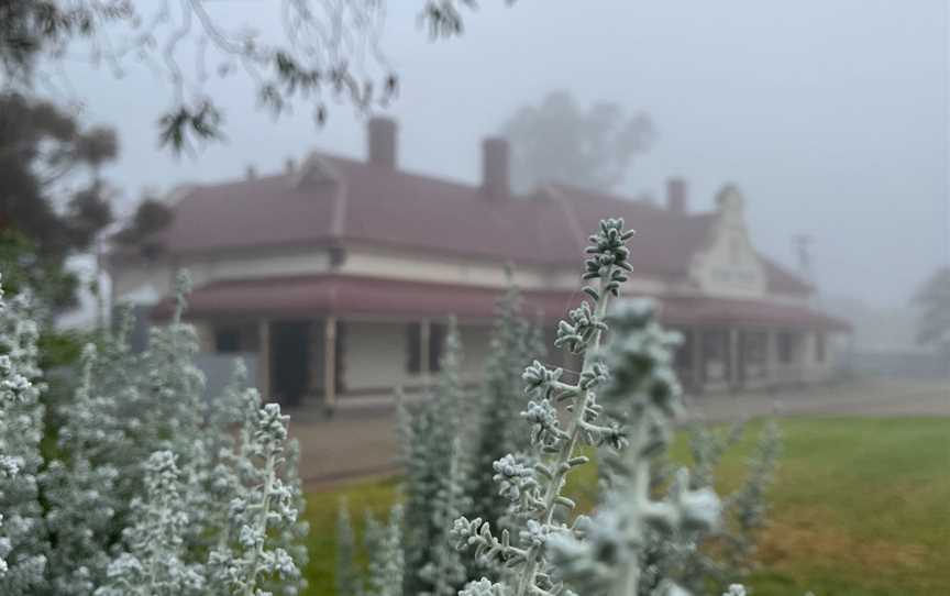 Quorn Walking Tours, Quorn, SA