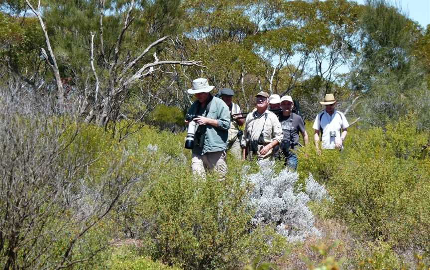 Bellbird Tours Pty Ltd, Berri, SA