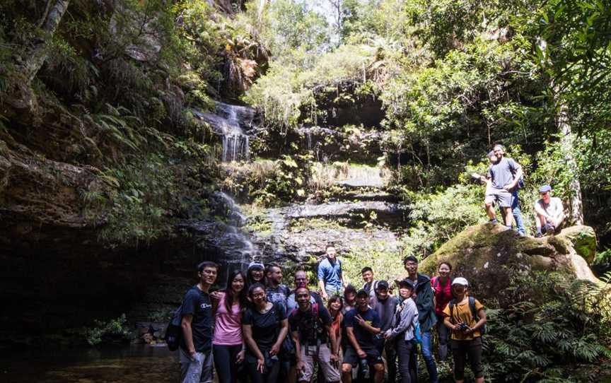 Hikeandseek NSW, Eastwood, NSW