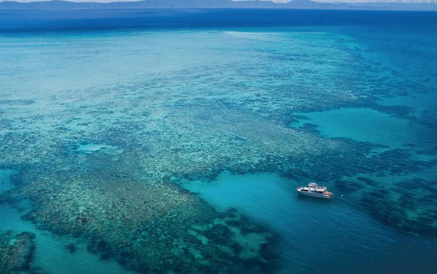 Ocean Freedom - Personal Snorkel & Dive, Cairns City, QLD