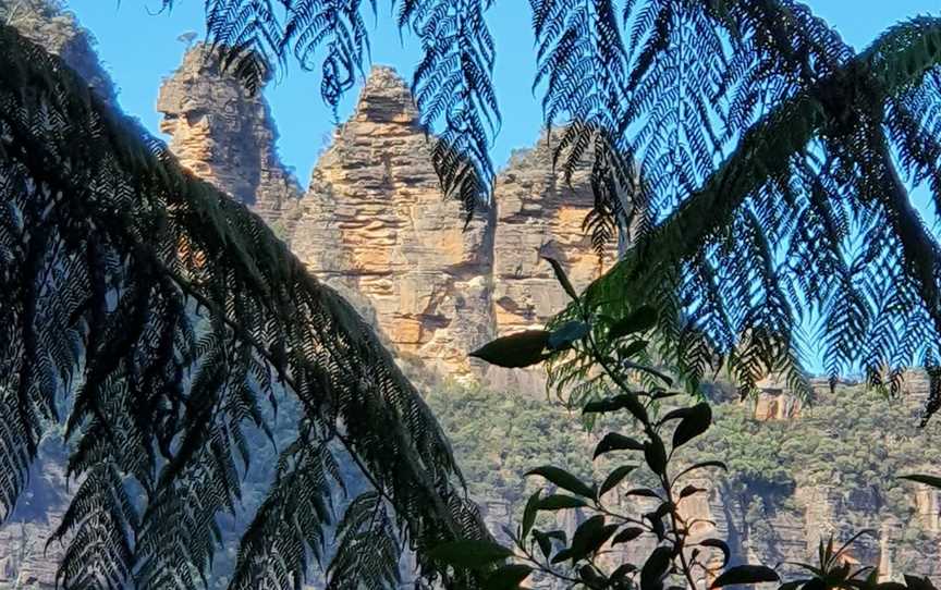 Hiking in the Blue Mountains...by Wolfgang & Hedi, Bullaburra, NSW