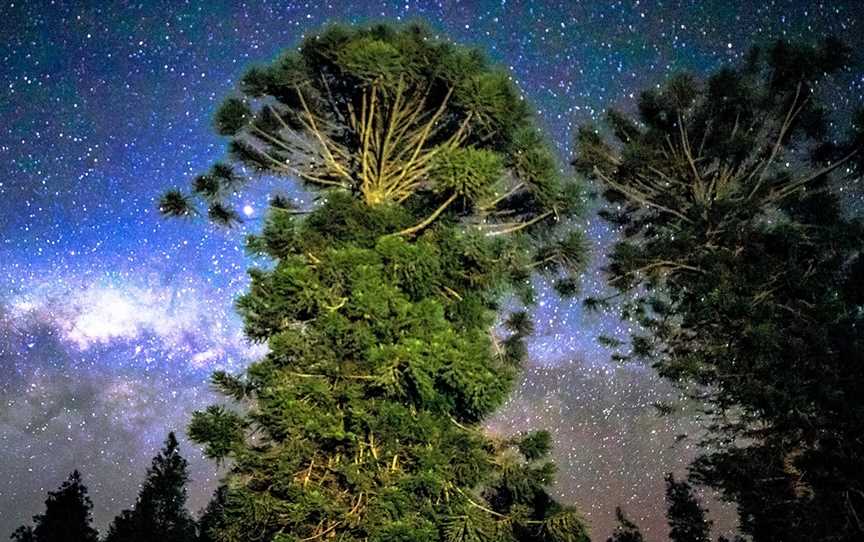 Bunya Mountains Astrophotography Experience, Bunya Mountains, QLD