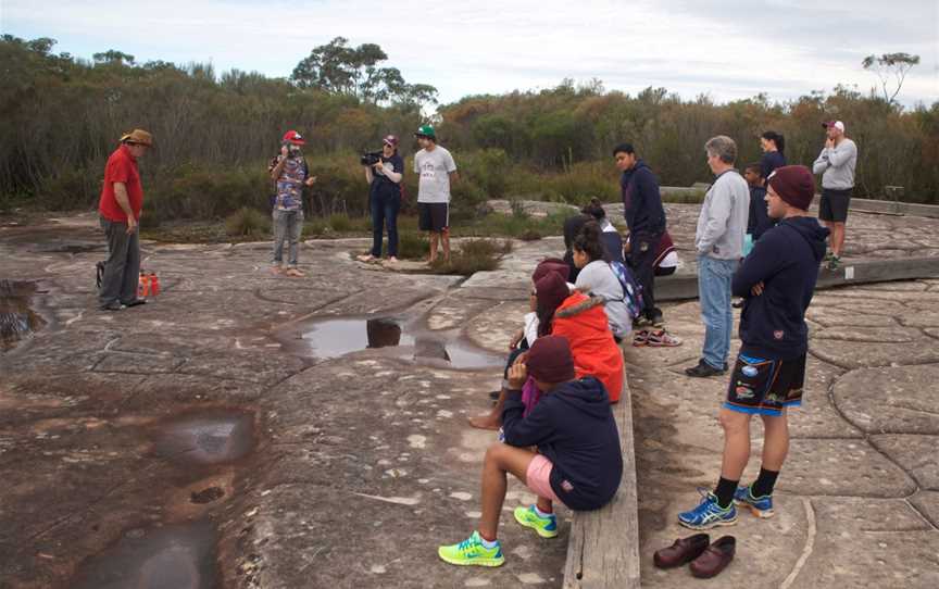 Guringai Aboriginal Tours, Frenchs Forest, NSW