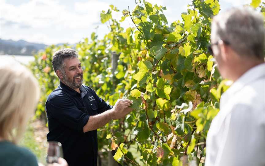 Wine in the Vines - Bangor Vineyard Tour, Dunalley, TAS