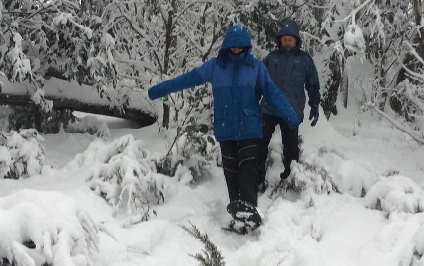 Mount Buffalo Ski School, Beechworth, VIC