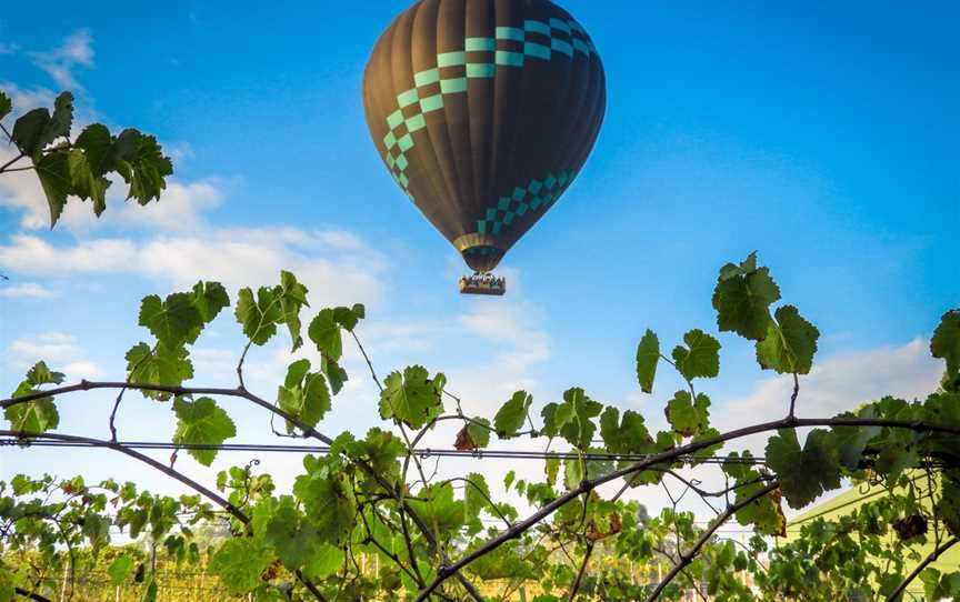 Beyond Ballooning, Lovedale, NSW