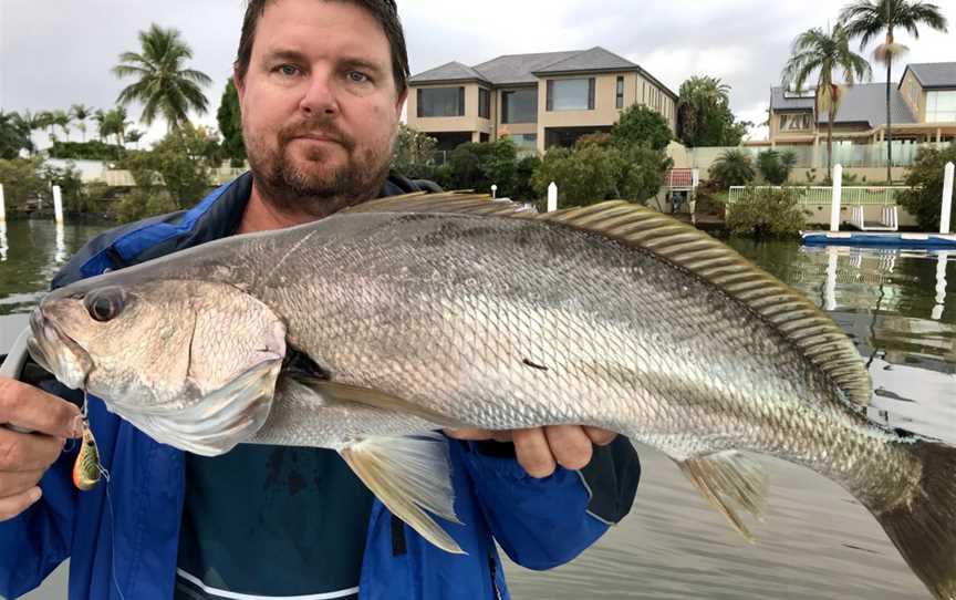 Gold Coast River Charters, Surfers Paradise, QLD