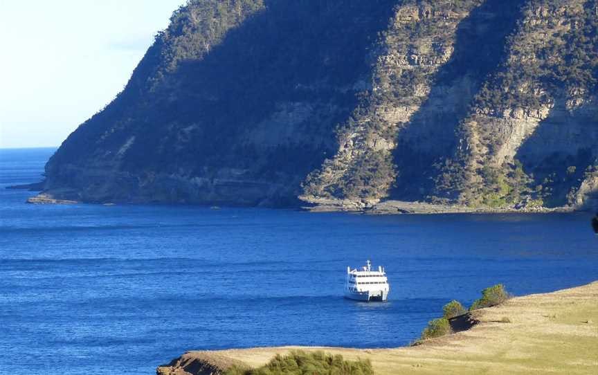 Coral Expeditions - Tasmania, Hobart, TAS