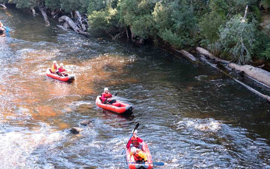 Tahune Adventures - Twin Rivers Adventure, Tours in Geeveston