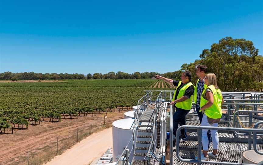 Bleasdale Vineyards Experiences, Langhorne Creek, SA