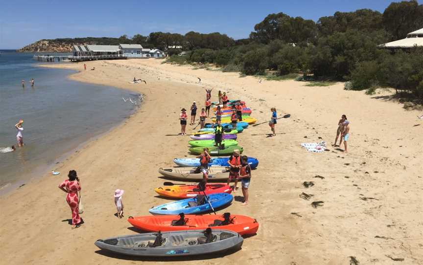 Paddle Life Barwon Heads, Barwon Heads, VIC