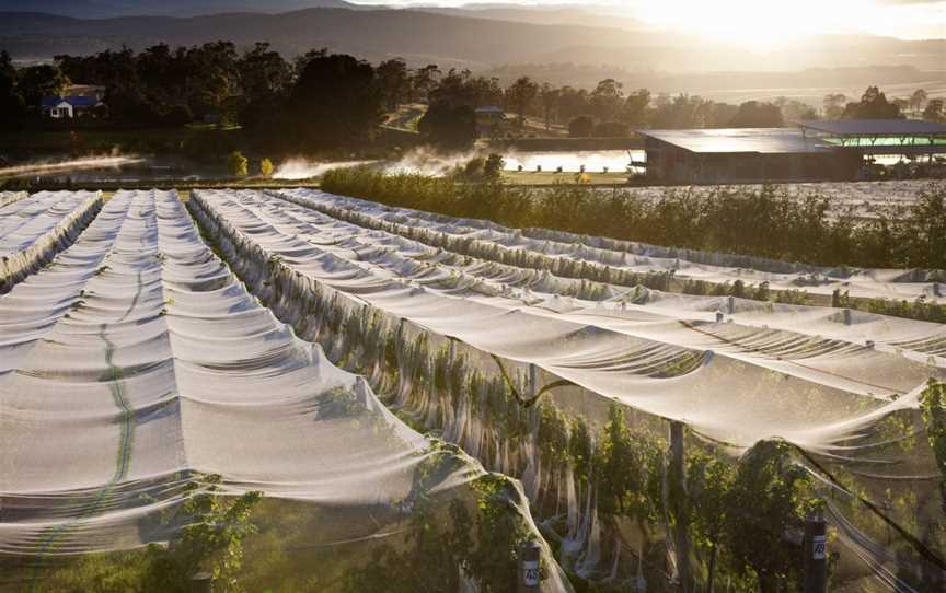 Josef Chromy - Go Behind The Label. Tour, tasting and lunch, Relbia, TAS