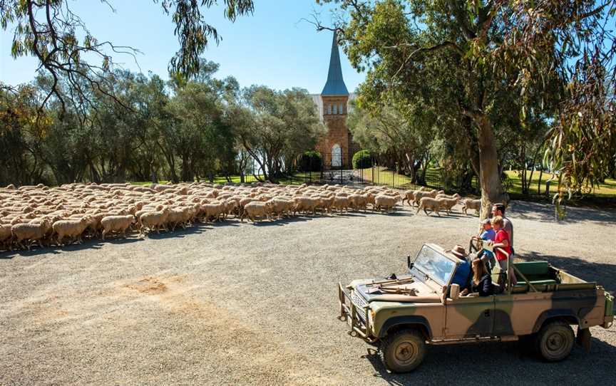 Bungaree Station Tours, Bungaree, SA