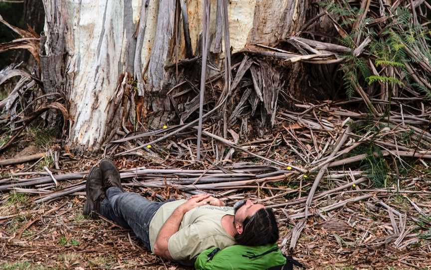 Temple4 Forest Therapy, Donvale, VIC