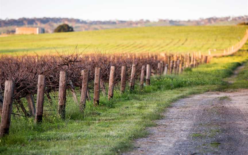 Woodstock Winemaker's Tour, Mclaren Flat, SA