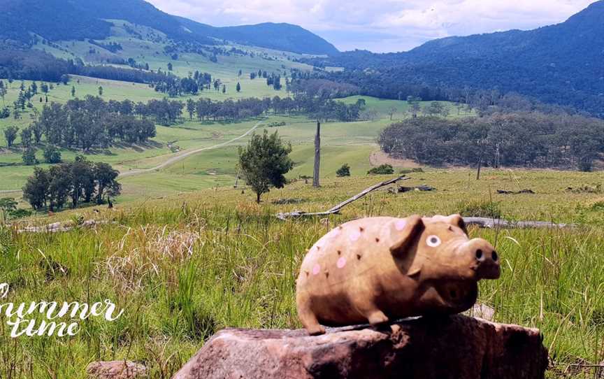 Killarney Tour Co, Killarney, QLD