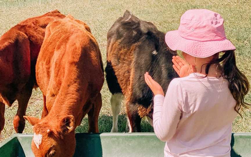 Lessismore Farm Experiences, Myponga Beach, SA