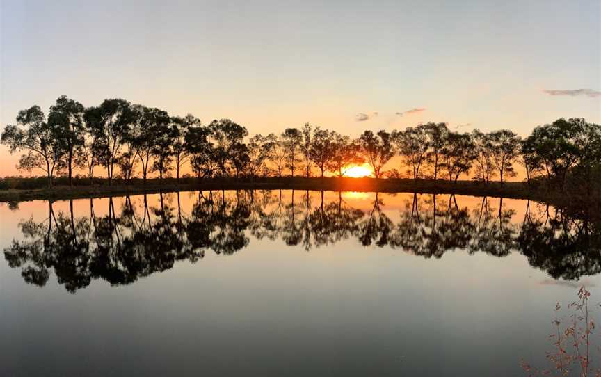 Narrabri Fish Farm, Jacks Creek, NSW