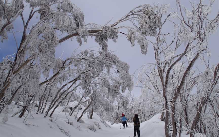 Stirling Experience, Mirimbah, VIC