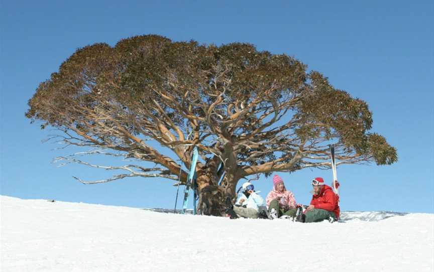 Stirling Experience, Mirimbah, VIC