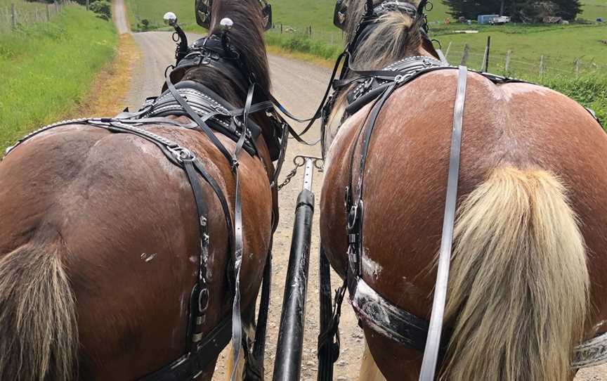 Almost Heaven Clydesdales, Sheffield, TAS