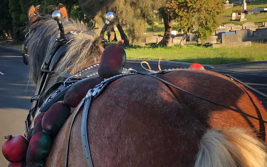 Almost Heaven Clydesdales, Sheffield, TAS