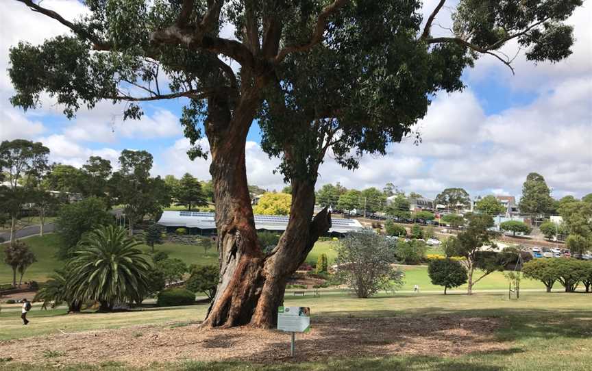 Drouin Self-guided Tree Walks, Drouin, VIC