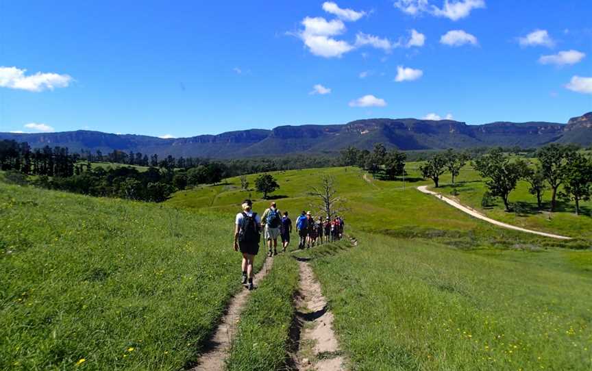 Lifes an Adventure - The Pack free Walking Experience, Belrose, NSW