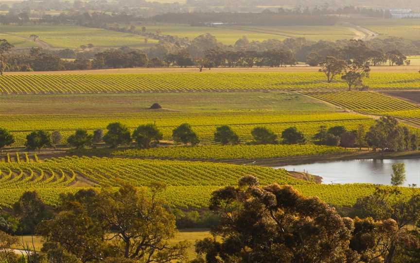 Barossa Taste Sensations, Angaston, SA