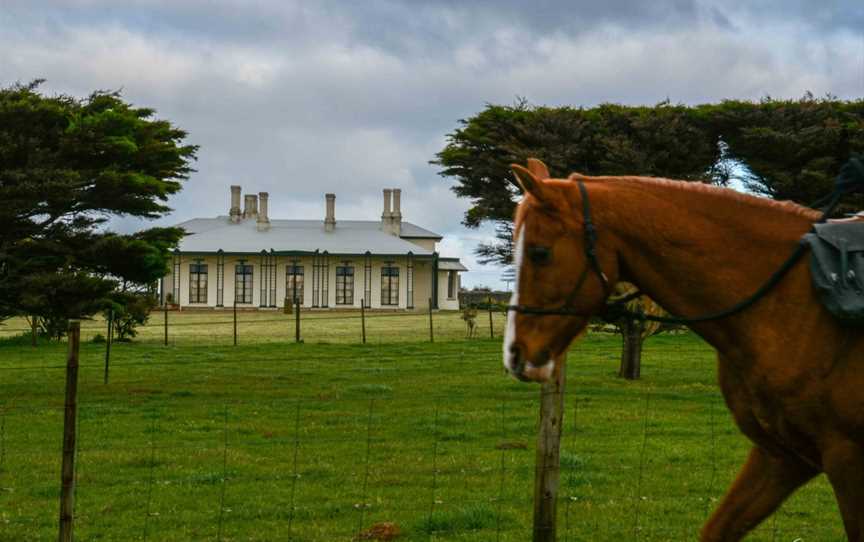 Australian Horse Adventures Tasmania, Deloraine, TAS