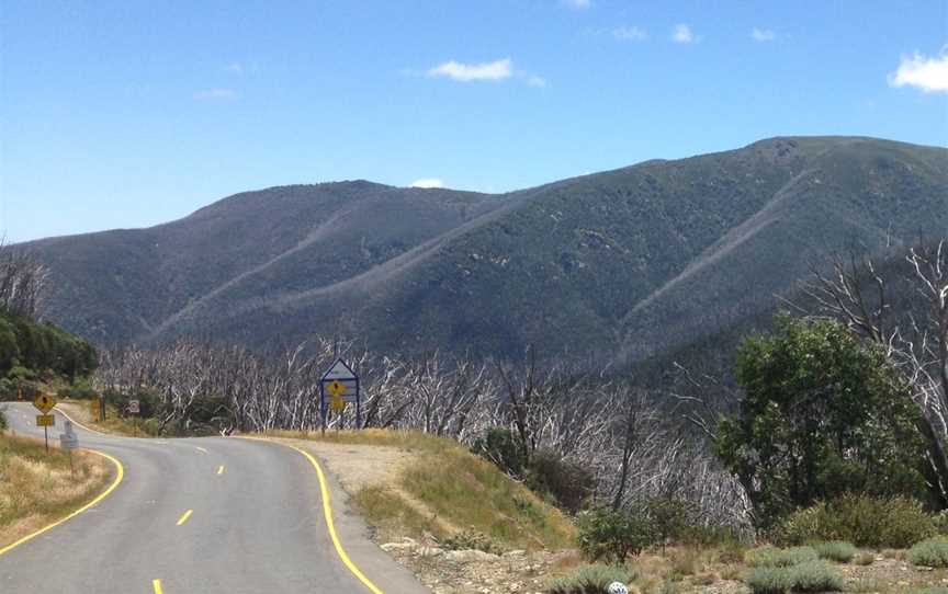 Wide Open Road Cycling Tours, Brunswick, VIC