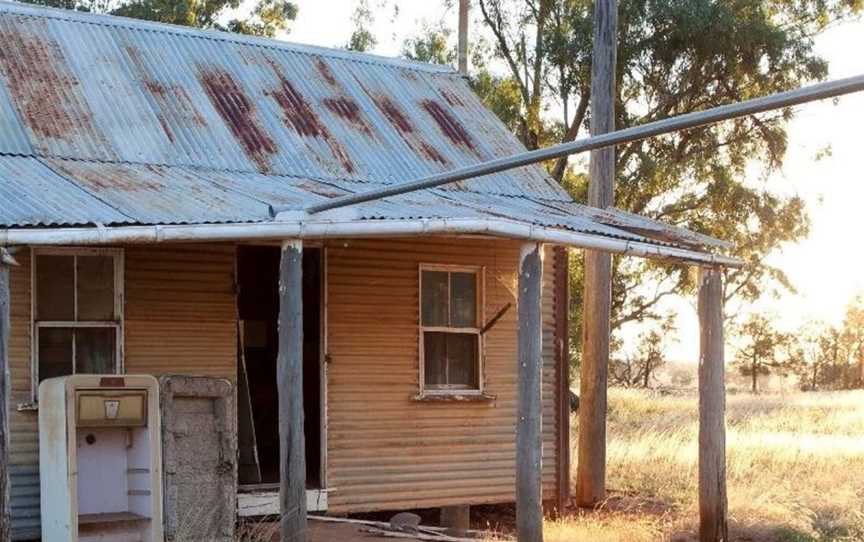 Outback Lamb, Tullamore, NSW