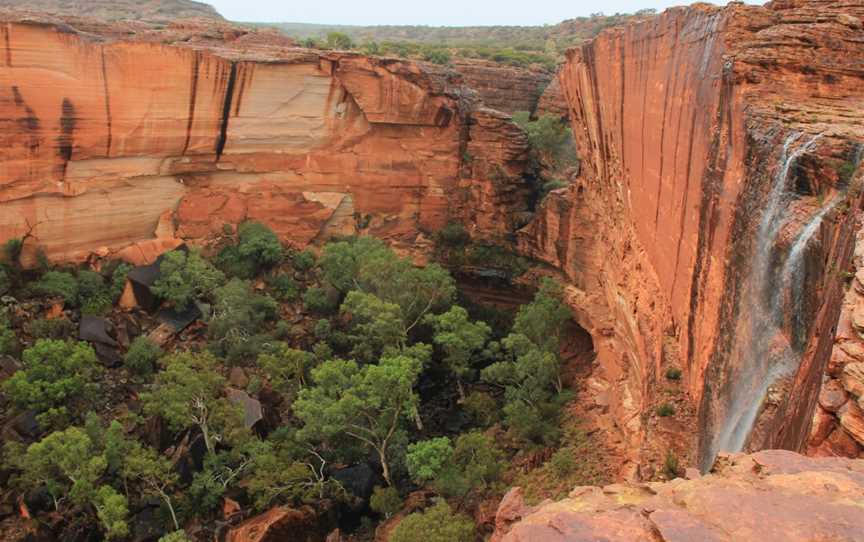 Discovery Tours NT, Desert Springs, NT