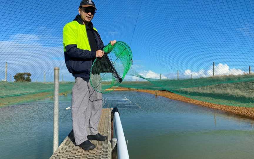 Andermel Marron Tour, Newland, SA