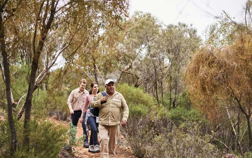 Aboriginal Cultural Tours Wilpena Pound Resort, Hawker, SA