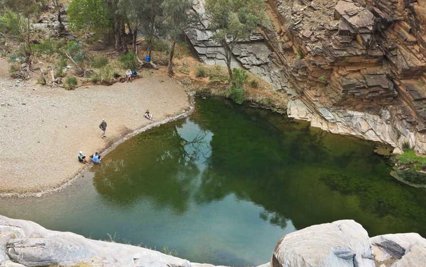 Walking the Flinders Ranges - Three and Five Day Guided Bushwalks, Hawker, SA