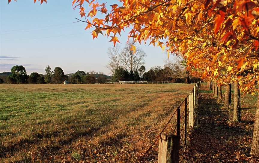 Camden Country Tour, Elderslie, NSW