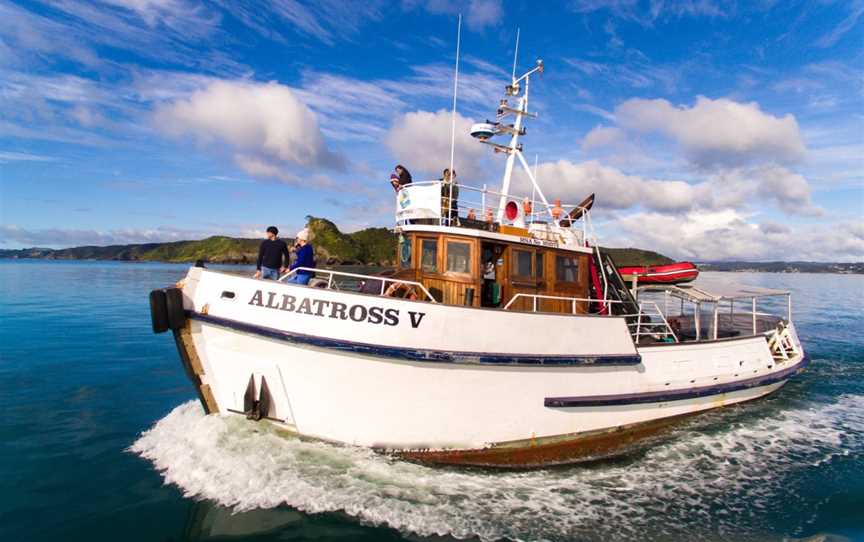 Albatross V Expeditions, Russell, New Zealand