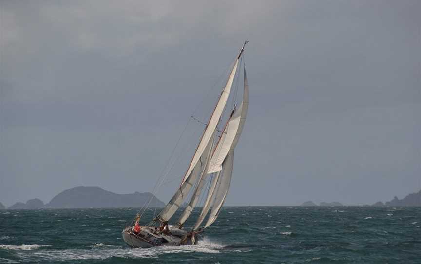 Arcturus, Auckland Central, New Zealand